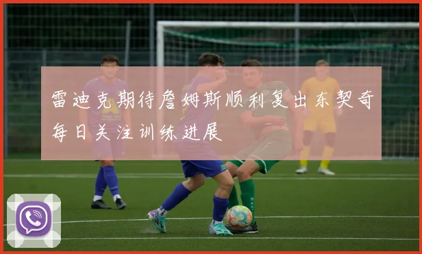 雷迪克期待詹姆斯顺利复出东契奇每日关注训练进展