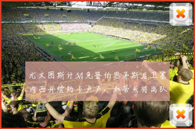 尤文图斯计划免签伯恩茅斯后卫塞内西并续约卡卢卢，加蒂或将离队